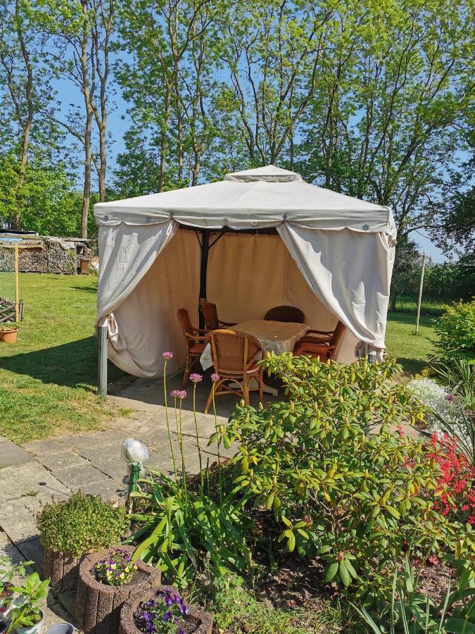 Ferienwohnung Am Stadtrand Garz Ruegen Ngoại thất bức ảnh